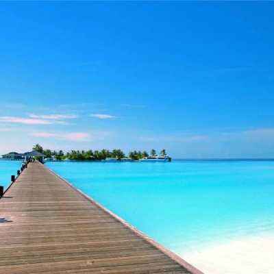 皇冠2登录平台首页